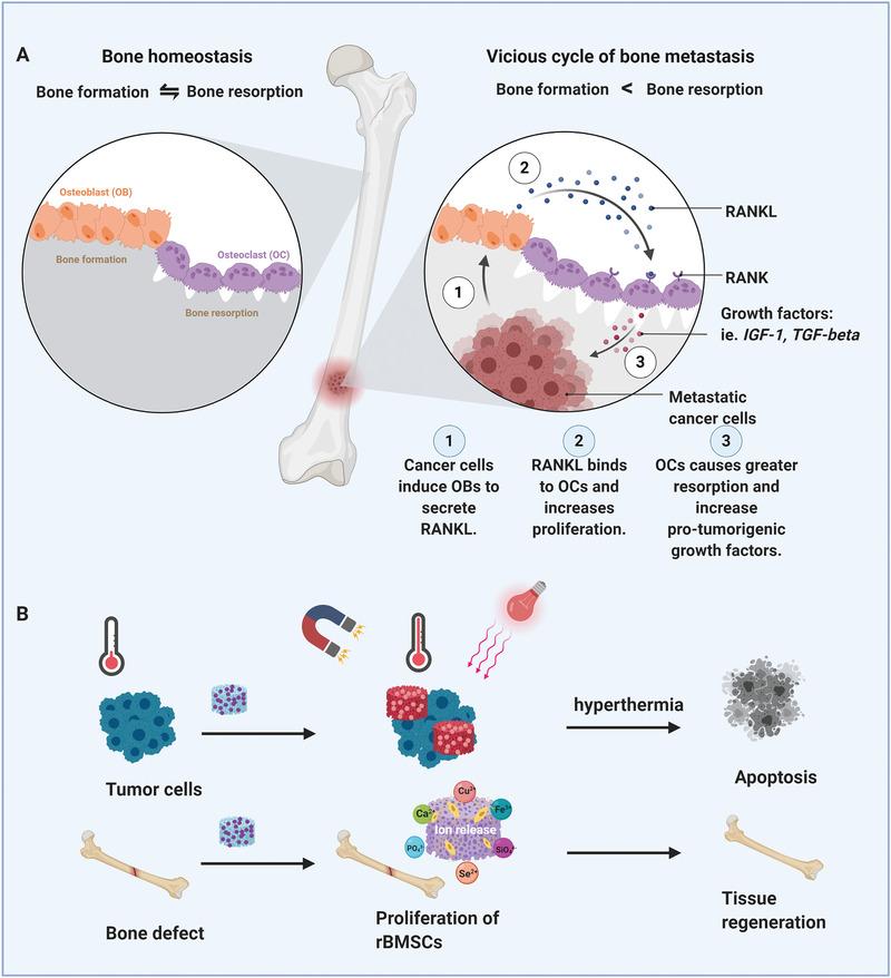 https://cdn.ncbi.nlm.nih.gov/pmc/blobs/76b8/8805580/7695e8444eda/ADVS-9-2102678-g021.jpg