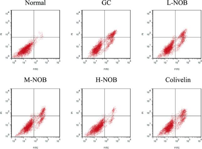 https://cdn.ncbi.nlm.nih.gov/pmc/blobs/76b9/12031757/634ff8f18723/10735_2025_10424_Fig2_HTML.jpg