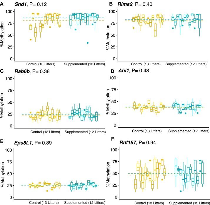 https://cdn.ncbi.nlm.nih.gov/pmc/blobs/76ba/12282951/269113787326/gkaf624fig4.jpg