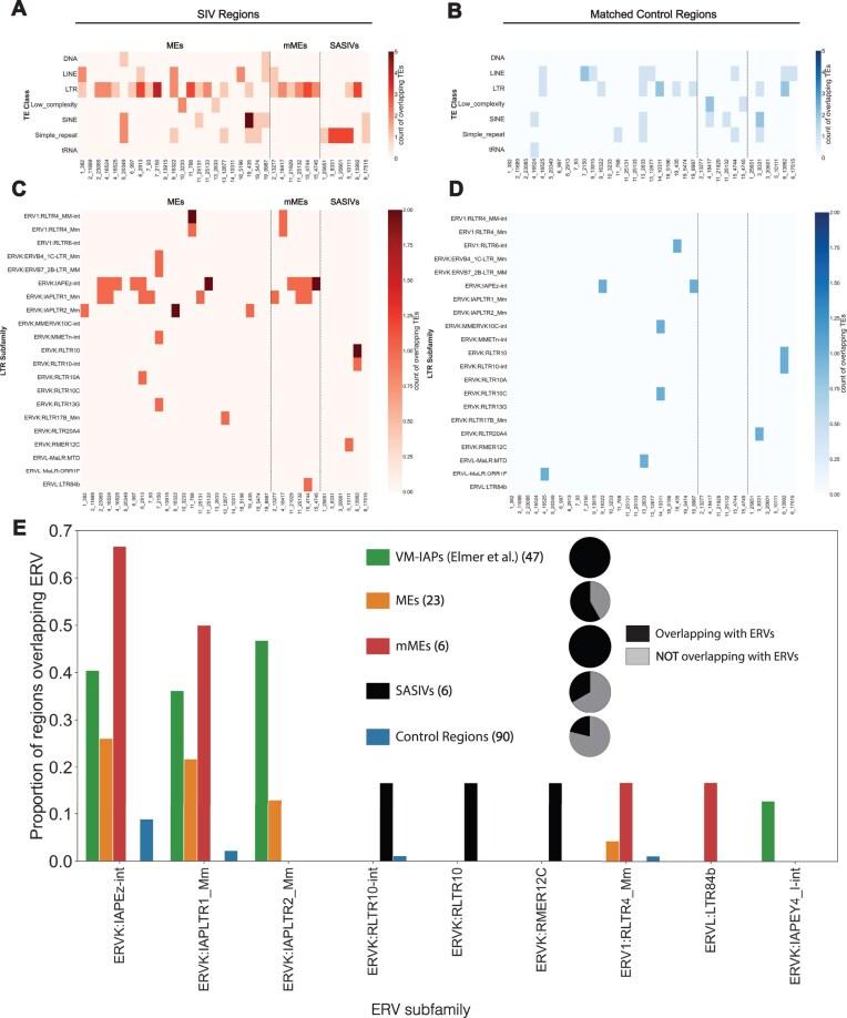 https://cdn.ncbi.nlm.nih.gov/pmc/blobs/76ba/12282951/69181cdbc78a/gkaf624fig5.jpg
