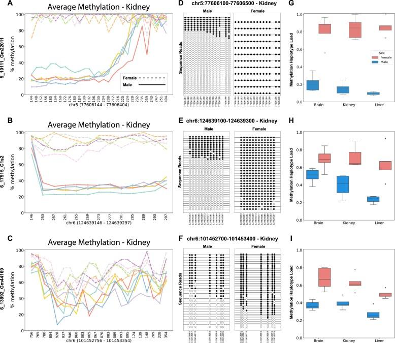 https://cdn.ncbi.nlm.nih.gov/pmc/blobs/76ba/12282951/880bc7a46e24/gkaf624fig2.jpg