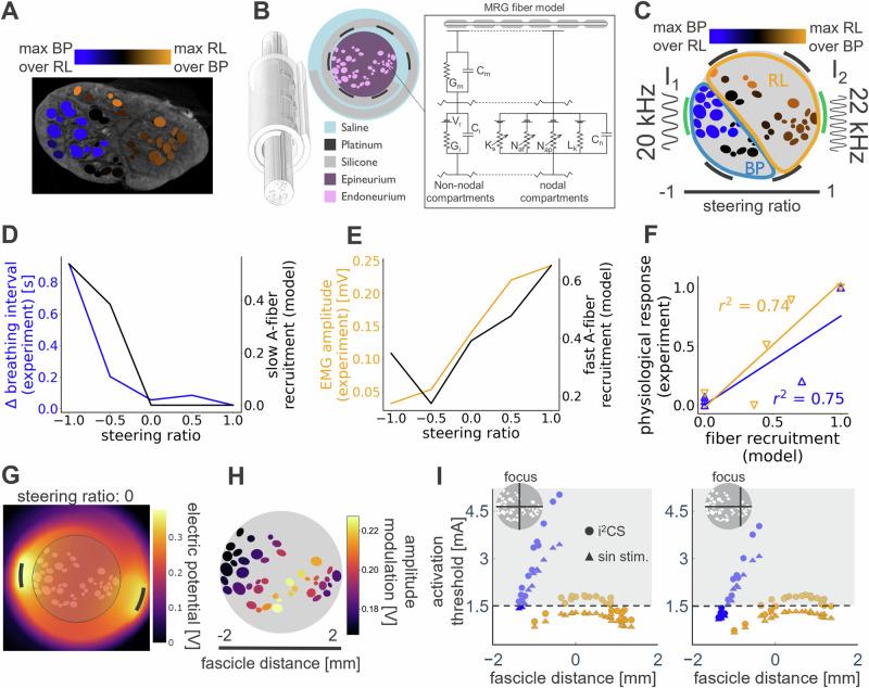 https://cdn.ncbi.nlm.nih.gov/pmc/blobs/76bc/12075724/cde14d920172/41467_2025_59595_Fig4_HTML.jpg