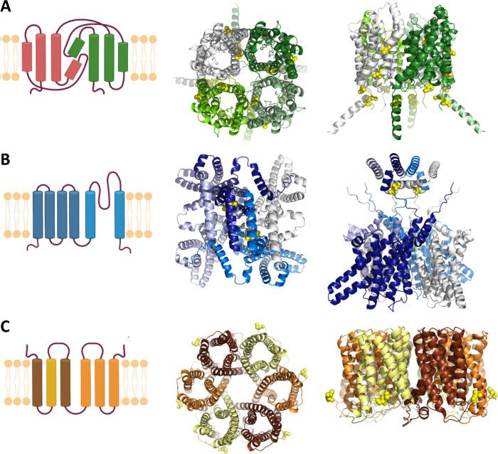 https://cdn.ncbi.nlm.nih.gov/pmc/blobs/76bd/12355471/feb85622864d/ac5c01702_0001.jpg