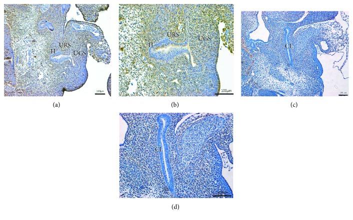 https://cdn.ncbi.nlm.nih.gov/pmc/blobs/76c0/6657636/9bbb0b634f70/GRP2019-1986196.001.jpg