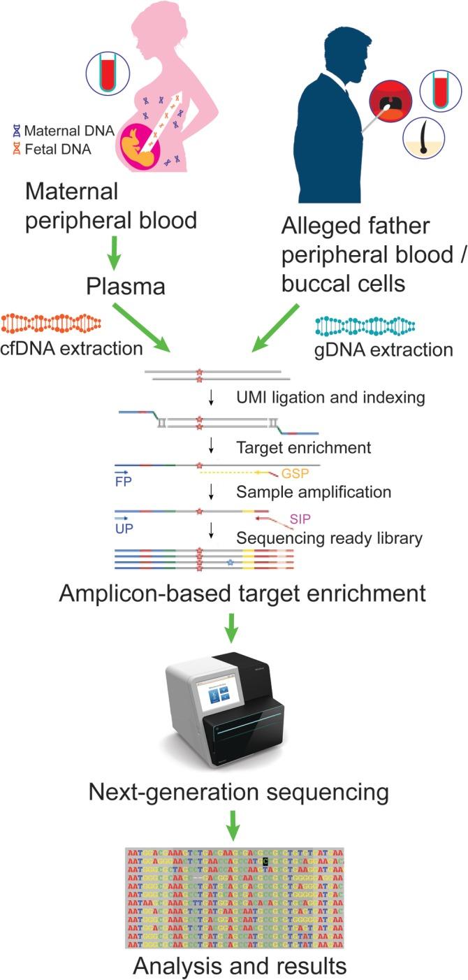 https://cdn.ncbi.nlm.nih.gov/pmc/blobs/76c0/7154534/64cd4d9143f6/PD-40-497-g002.jpg