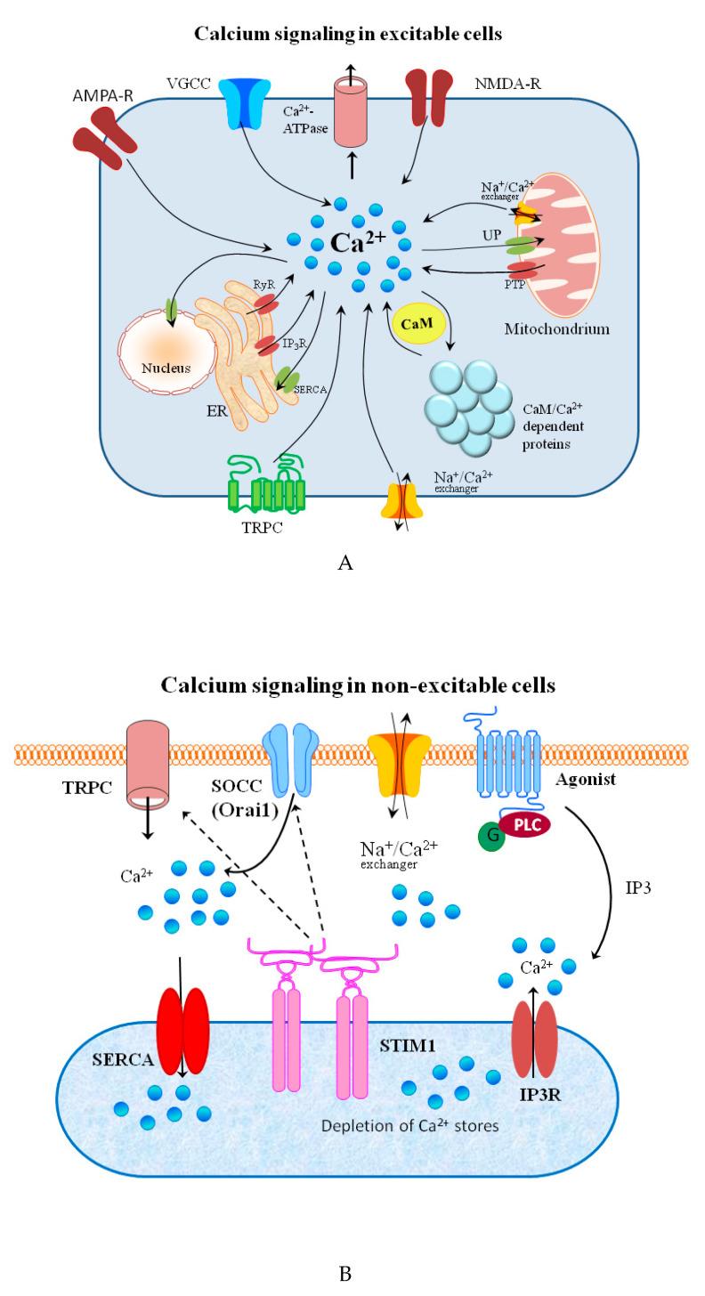 https://cdn.ncbi.nlm.nih.gov/pmc/blobs/76c0/7600656/8e71ef376967/biomolecules-10-01417-g002.jpg