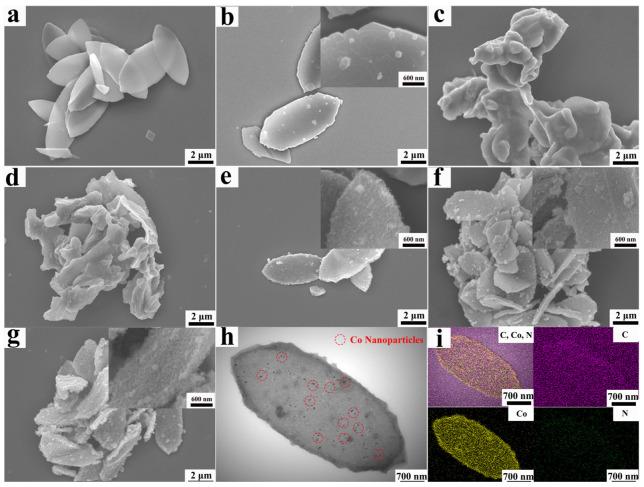 https://cdn.ncbi.nlm.nih.gov/pmc/blobs/76c1/11173442/9af226b10fdf/molecules-29-02426-g001.jpg