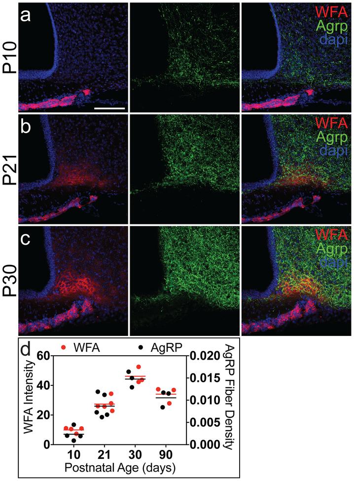 https://cdn.ncbi.nlm.nih.gov/pmc/blobs/76c1/6594569/9740b2b2884a/nihms-1516908-f0003.jpg