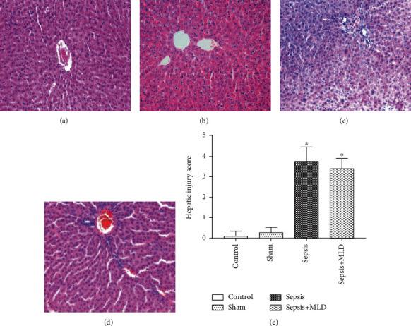https://cdn.ncbi.nlm.nih.gov/pmc/blobs/76c1/7596461/59e3cba6223a/BMRI2020-3049302.003.jpg