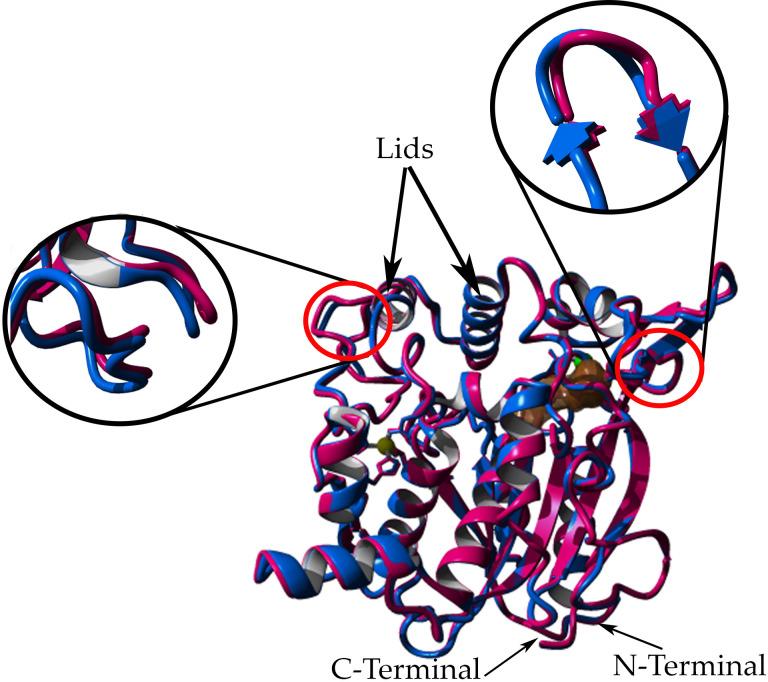 https://cdn.ncbi.nlm.nih.gov/pmc/blobs/76c1/8168862/7b28c8dd3415/pone.0251751.g005.jpg