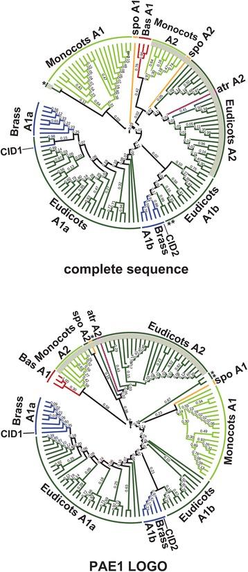 https://cdn.ncbi.nlm.nih.gov/pmc/blobs/76c2/4574140/63acc6e6b23f/12862_2015_475_Fig4_HTML.jpg