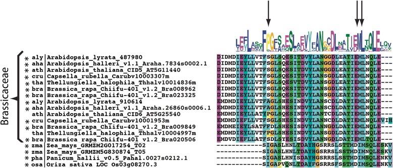 https://cdn.ncbi.nlm.nih.gov/pmc/blobs/76c2/4574140/c6bf512cdd4e/12862_2015_475_Fig6_HTML.jpg