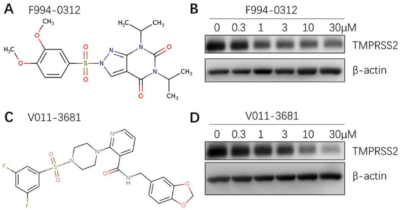 https://cdn.ncbi.nlm.nih.gov/pmc/blobs/76c3/11326902/6f2b8675b0b1/gr2.jpg