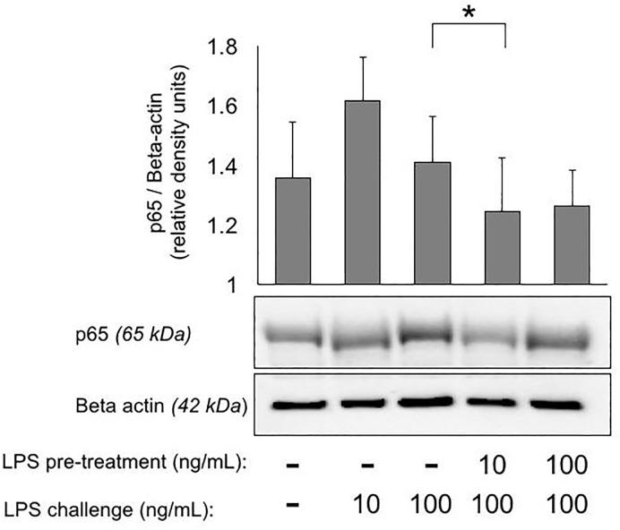 https://cdn.ncbi.nlm.nih.gov/pmc/blobs/76c3/5598939/099eda10b57d/pone.0183987.g002.jpg
