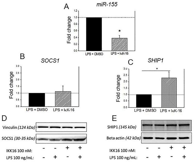 https://cdn.ncbi.nlm.nih.gov/pmc/blobs/76c3/5598939/44ac25bb1944/pone.0183987.g006.jpg