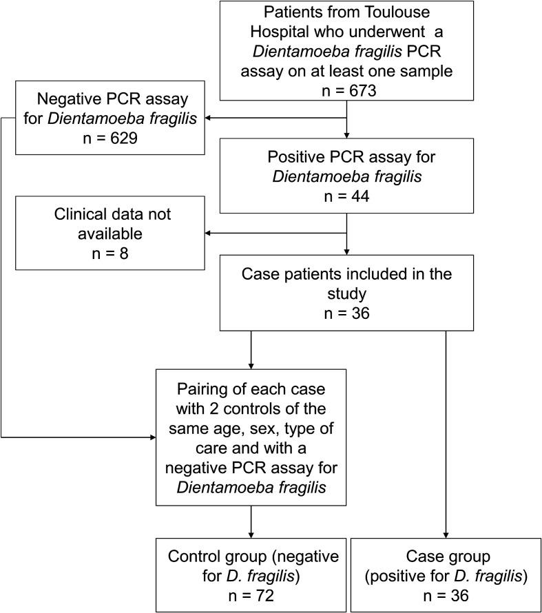 https://cdn.ncbi.nlm.nih.gov/pmc/blobs/76c7/11271704/a469e2b02581/parasite-31-40-fig1.jpg