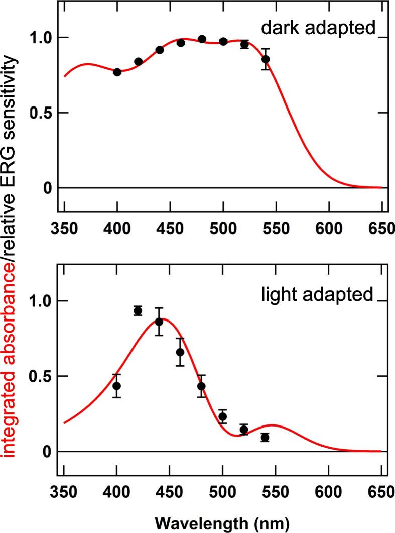 https://cdn.ncbi.nlm.nih.gov/pmc/blobs/76c8/10729476/e03726487dcb/12915_2023_1789_Fig7_HTML.jpg