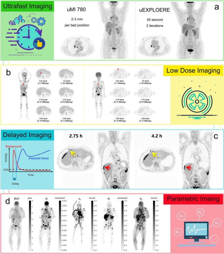 https://cdn.ncbi.nlm.nih.gov/pmc/blobs/76c8/11014840/3c4b760cc04b/13550_2023_1059_Fig2_HTML.jpg