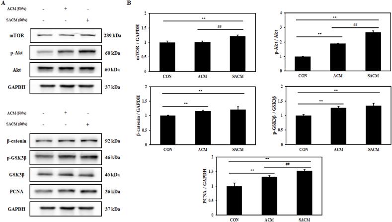 https://cdn.ncbi.nlm.nih.gov/pmc/blobs/76c9/11992390/b13a95579a47/gr4.jpg