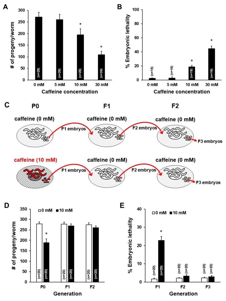 https://cdn.ncbi.nlm.nih.gov/pmc/blobs/76cc/7284833/bcdf948525e0/nutrients-12-01334-g002.jpg