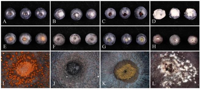 https://cdn.ncbi.nlm.nih.gov/pmc/blobs/76d2/11858039/848c889cce09/pathogens-14-00201-g016.jpg