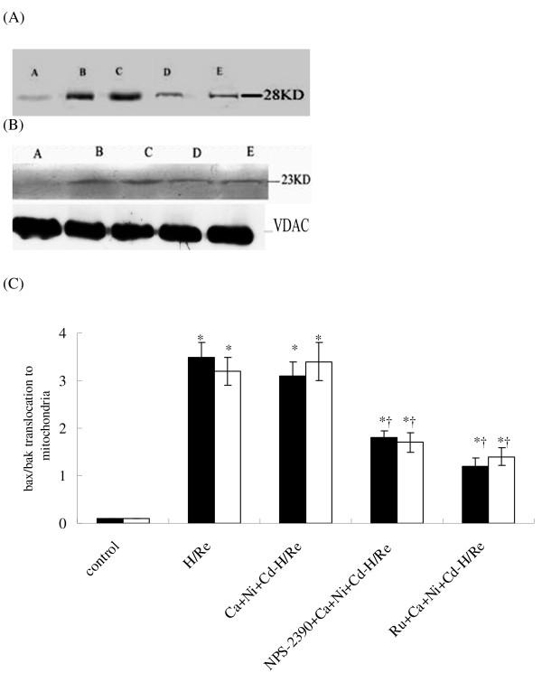 https://cdn.ncbi.nlm.nih.gov/pmc/blobs/76d2/2908572/1f86abd992d6/1423-0127-17-50-8.jpg