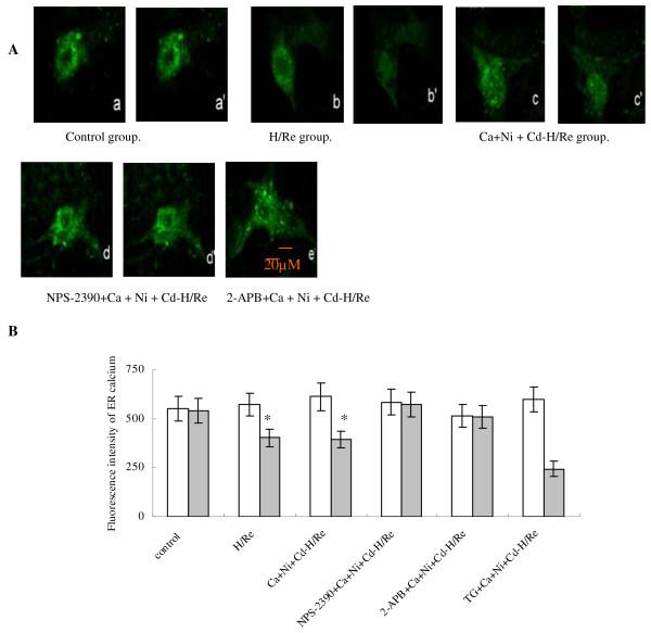 https://cdn.ncbi.nlm.nih.gov/pmc/blobs/76d2/2908572/29e049b71db9/1423-0127-17-50-5.jpg