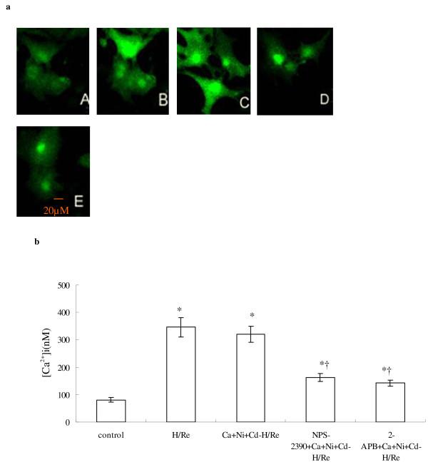 https://cdn.ncbi.nlm.nih.gov/pmc/blobs/76d2/2908572/4e9001993f00/1423-0127-17-50-4.jpg
