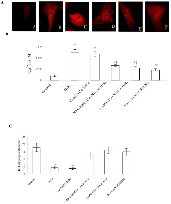 https://cdn.ncbi.nlm.nih.gov/pmc/blobs/76d2/2908572/bb80325cf887/1423-0127-17-50-6.jpg