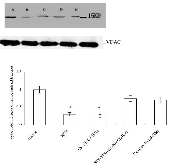 https://cdn.ncbi.nlm.nih.gov/pmc/blobs/76d2/2908572/c686ef9aeb61/1423-0127-17-50-9.jpg