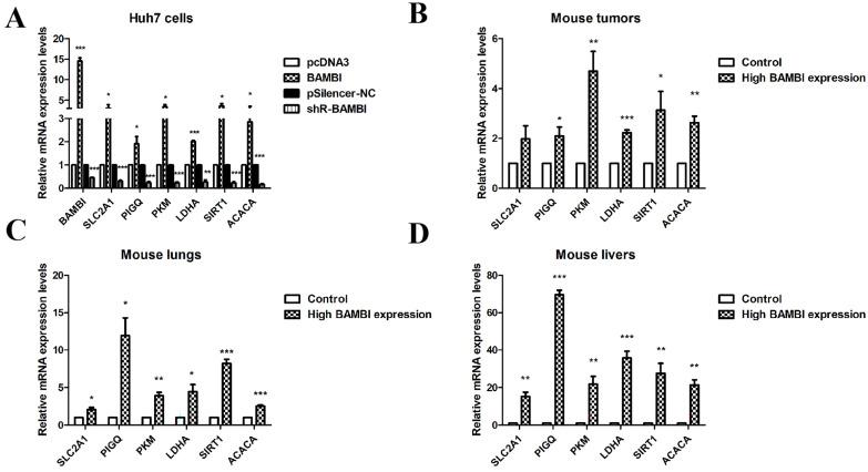 https://cdn.ncbi.nlm.nih.gov/pmc/blobs/76d5/11640931/0a3aa51079b0/ijms-25-12713-g004.jpg