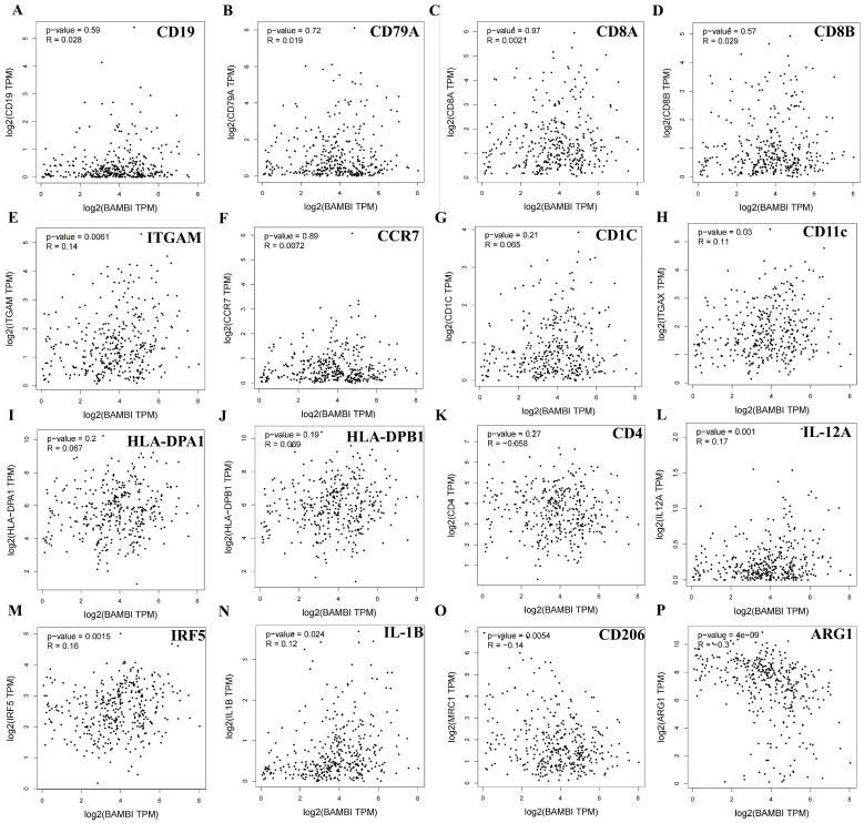https://cdn.ncbi.nlm.nih.gov/pmc/blobs/76d5/11640931/9c0639b1c9c3/ijms-25-12713-g006.jpg