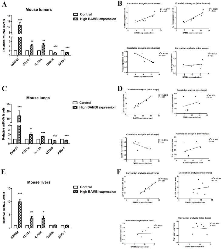 https://cdn.ncbi.nlm.nih.gov/pmc/blobs/76d5/11640931/ad6b4250476c/ijms-25-12713-g007.jpg
