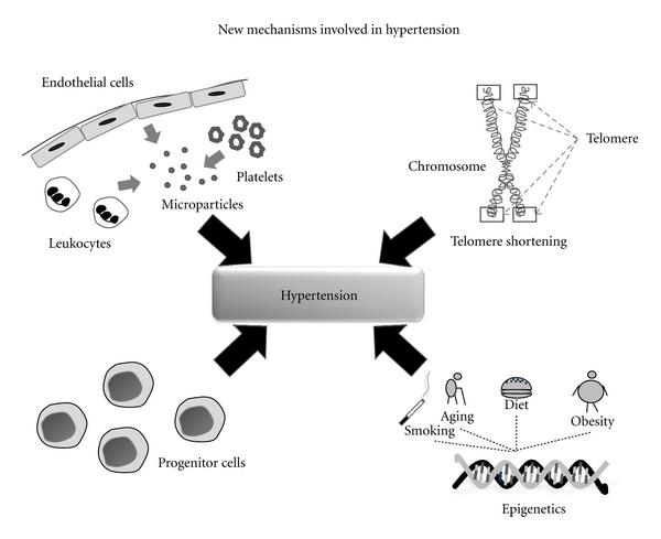 https://cdn.ncbi.nlm.nih.gov/pmc/blobs/76d6/3199182/43d3b201345c/IJHT2012-150107.002.jpg