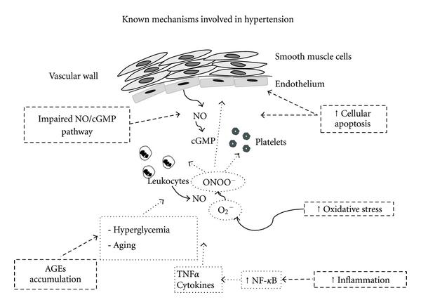 https://cdn.ncbi.nlm.nih.gov/pmc/blobs/76d6/3199182/b6217a4ff668/IJHT2012-150107.001.jpg