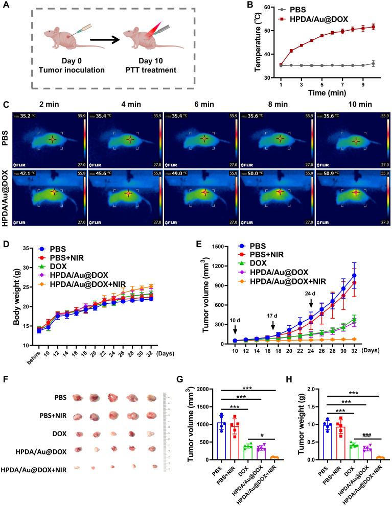 https://cdn.ncbi.nlm.nih.gov/pmc/blobs/76d7/11409934/452fab32bafc/IJN-19-9597-g0008.jpg