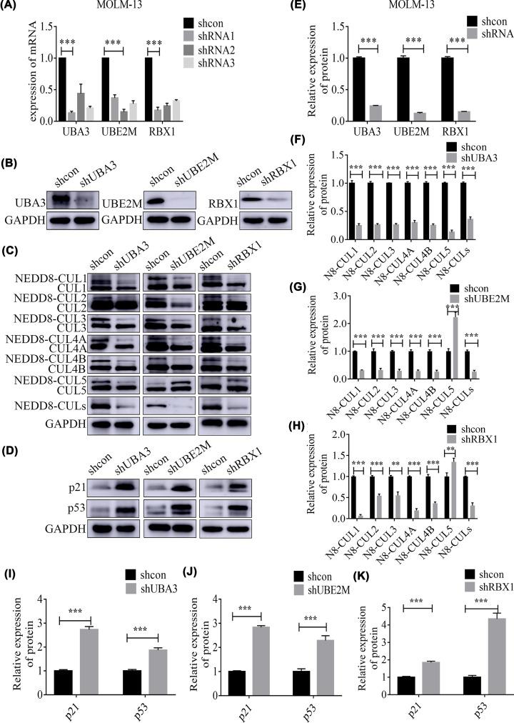 https://cdn.ncbi.nlm.nih.gov/pmc/blobs/76d7/9386570/16d3471f5d51/bsr-42-bsr20220994-g2.jpg