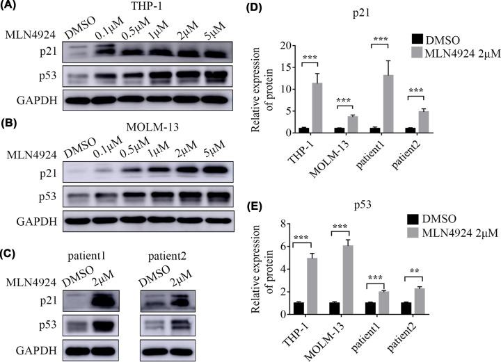 https://cdn.ncbi.nlm.nih.gov/pmc/blobs/76d7/9386570/3fd26eee9d6b/bsr-42-bsr20220994-g5.jpg
