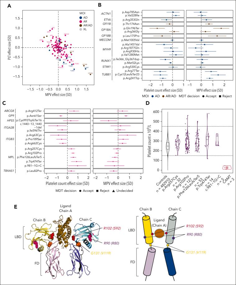 https://cdn.ncbi.nlm.nih.gov/pmc/blobs/76d8/10733830/a075e4991ec5/BLOOD_BLD-2023-020118-gr3.jpg