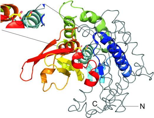 https://cdn.ncbi.nlm.nih.gov/pmc/blobs/76de/3031774/ea6c15cf9b34/gr3.jpg