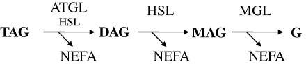 https://cdn.ncbi.nlm.nih.gov/pmc/blobs/76de/3031774/ec0524aff46c/gr1.jpg