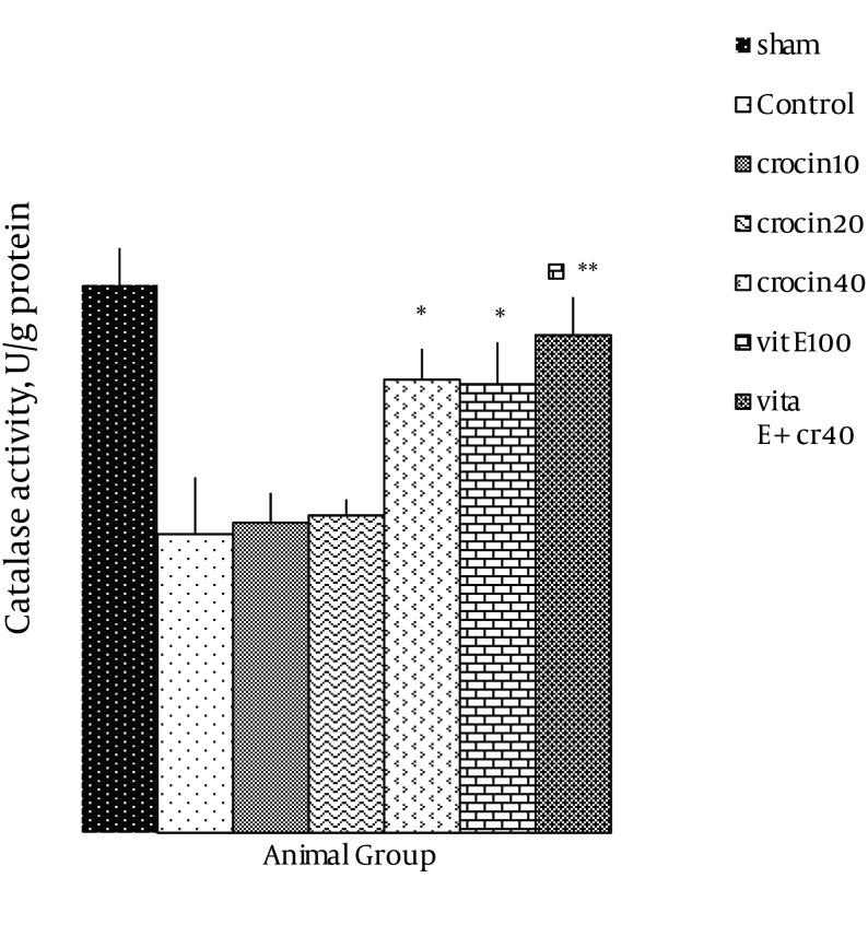 https://cdn.ncbi.nlm.nih.gov/pmc/blobs/76de/4036380/2939c57887a5/jjnpp-09-02-17187-i005.jpg