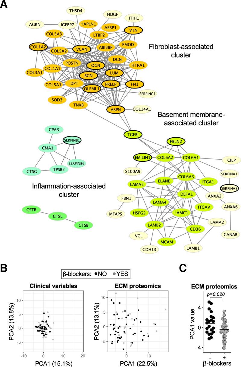 https://cdn.ncbi.nlm.nih.gov/pmc/blobs/76df/8687617/7d561b542ed0/cir-144-2021-g008.jpg