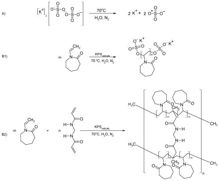https://cdn.ncbi.nlm.nih.gov/pmc/blobs/76e0/11244384/9f18b8efd083/polymers-16-01917-g002.jpg
