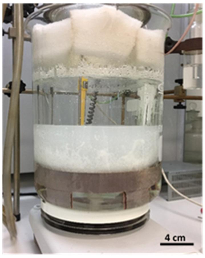 https://cdn.ncbi.nlm.nih.gov/pmc/blobs/76e0/11244384/a913e9885d1f/polymers-16-01917-g003.jpg