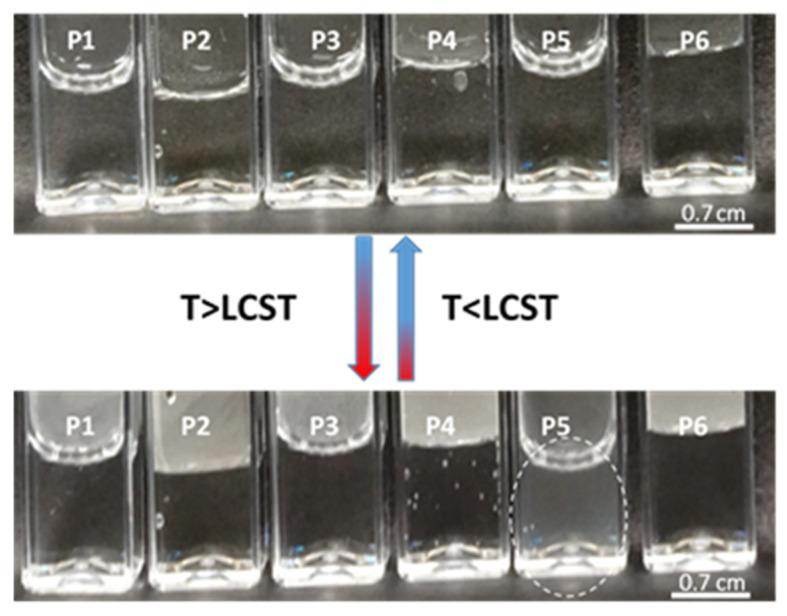 https://cdn.ncbi.nlm.nih.gov/pmc/blobs/76e0/11244384/f2b6a7b7abf2/polymers-16-01917-g010.jpg