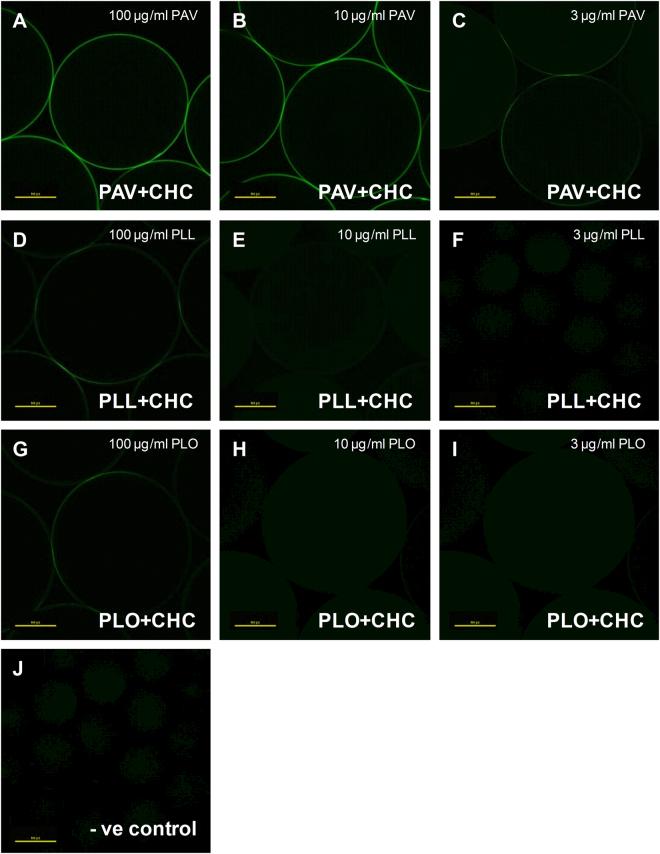 https://cdn.ncbi.nlm.nih.gov/pmc/blobs/76e3/5600981/b954cb662d7b/41598_2017_11989_Fig1_HTML.jpg