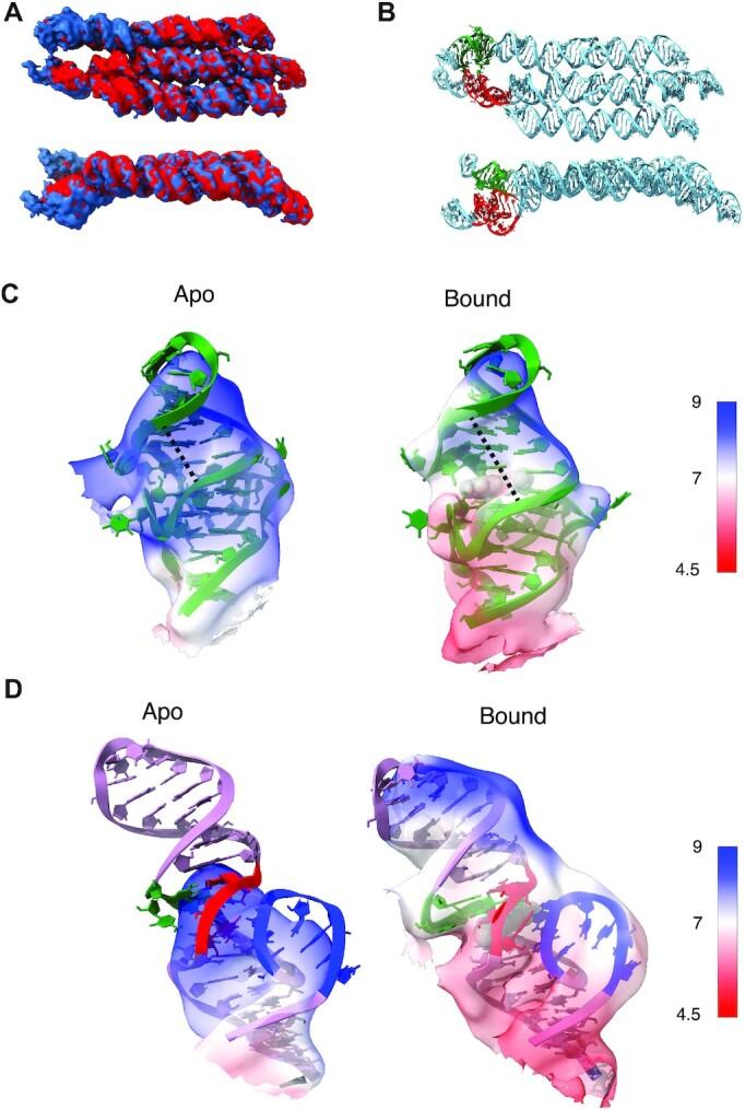 https://cdn.ncbi.nlm.nih.gov/pmc/blobs/76e5/10201433/77ff922f8e43/gkad224fig2.jpg