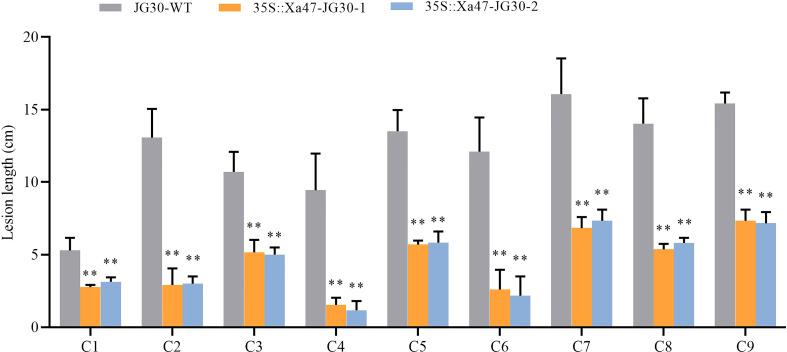 https://cdn.ncbi.nlm.nih.gov/pmc/blobs/76e6/9730417/5e8105595451/fpls-13-1037901-g008.jpg