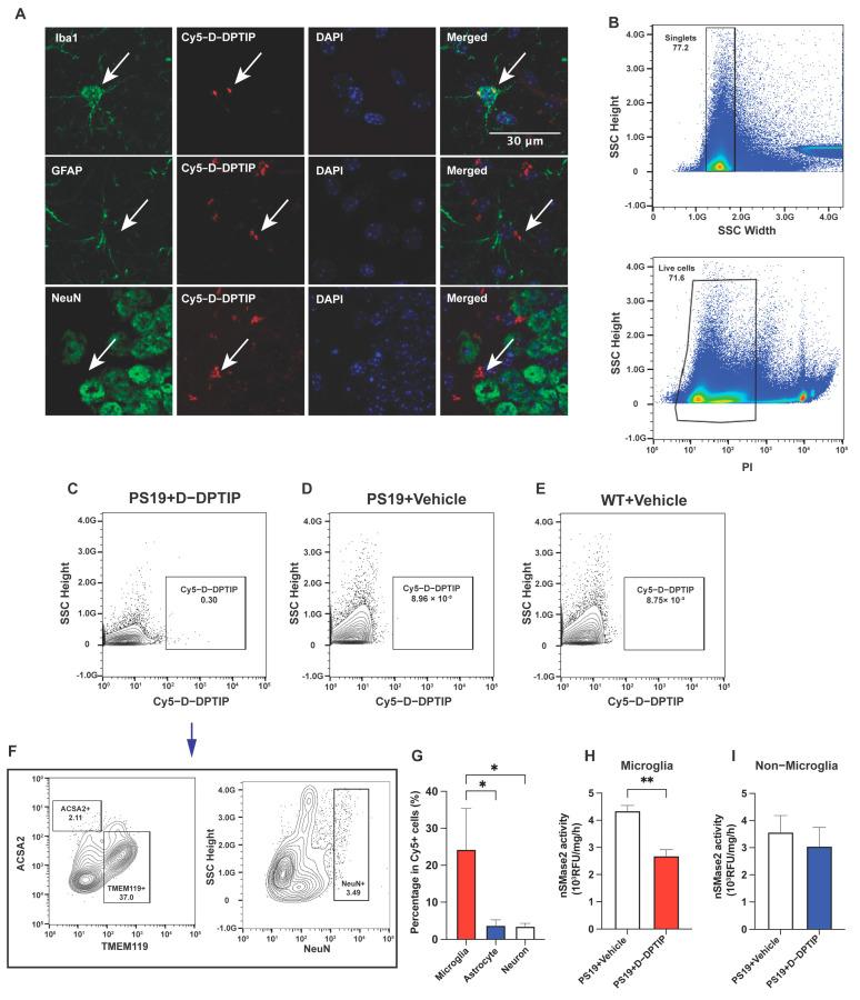 https://cdn.ncbi.nlm.nih.gov/pmc/blobs/76e7/10536502/21e145d578d1/pharmaceutics-15-02364-g004.jpg